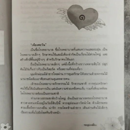 ชมพู่ม่าเหมี่ยว - โสภี พรรณราย รูปที่ 9