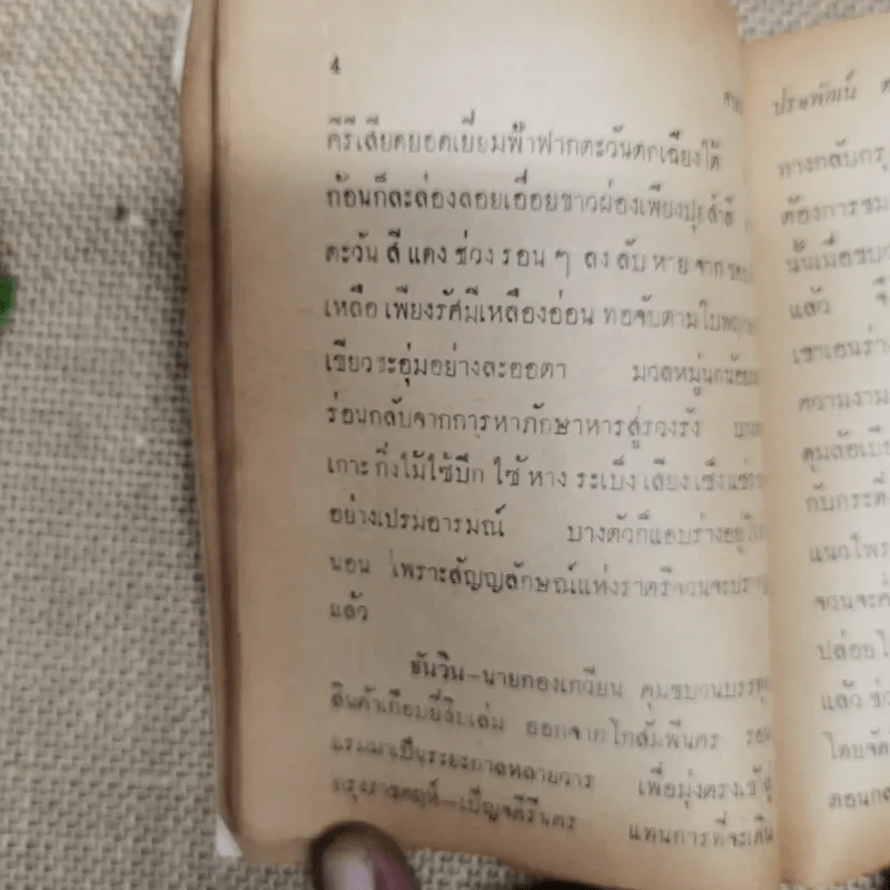 ศาสนวันประพัฒน์ ตรีณรงค์ รูปที่ 12
