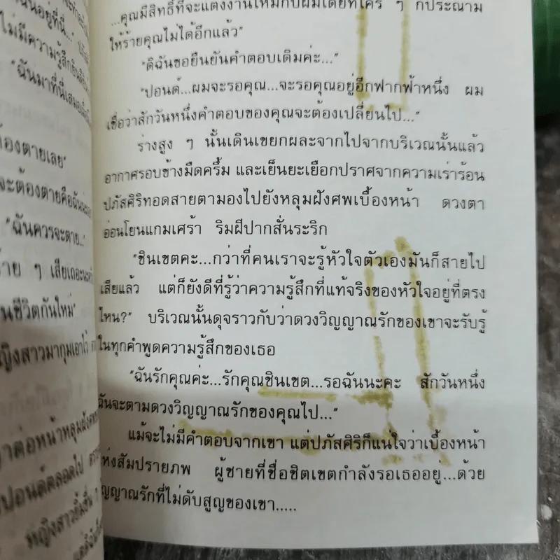 ดั่งคนละฟากฟ้า 2 เล่มจบ - กรุง ญ.ฉัตร รูปที่ 9