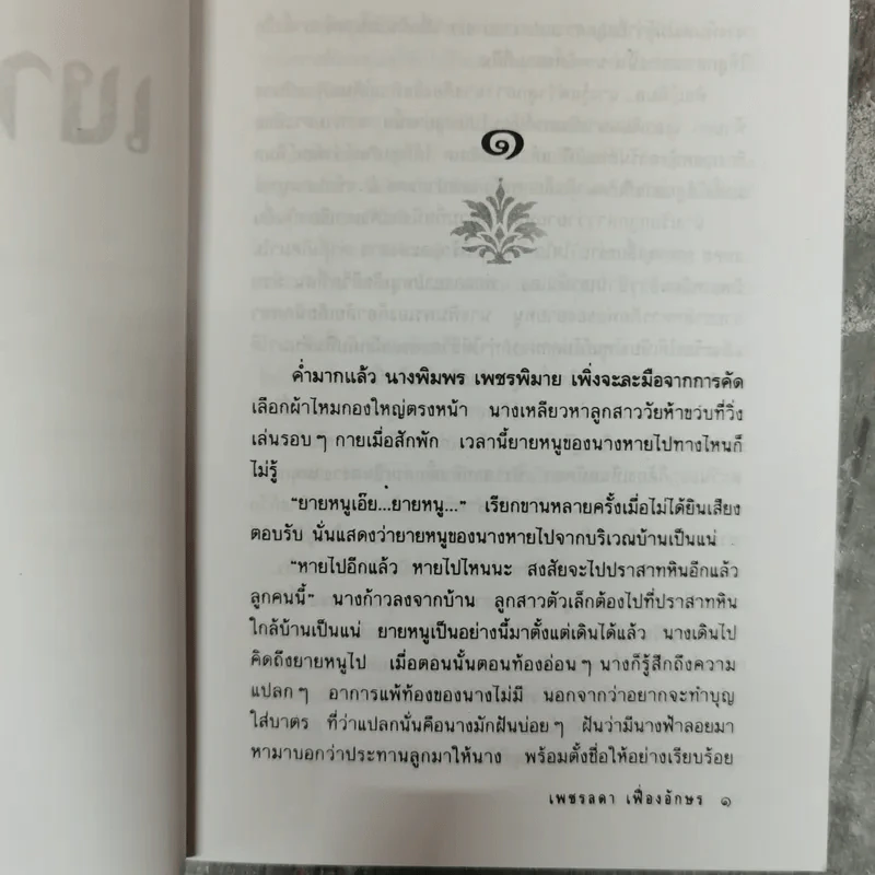 เงานางฟ้า - เพชรลดา เฟื่องอักษร รูปที่ 9