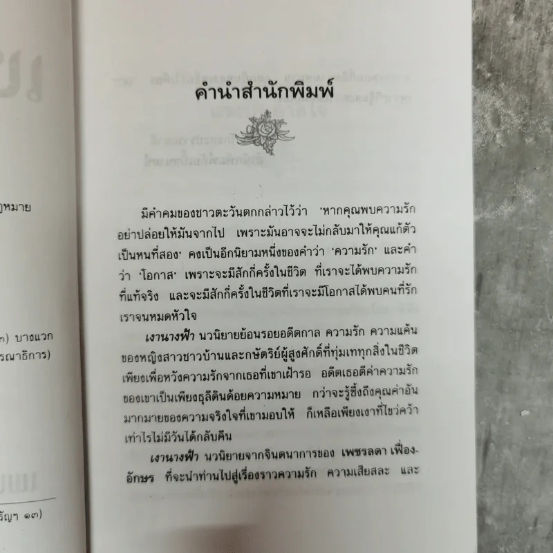 เงานางฟ้า - เพชรลดา เฟื่องอักษร รูปที่ 8