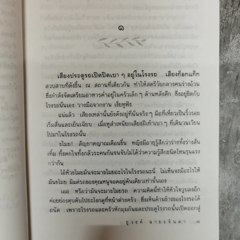 ฝันเฟื่อง - ชูวงศ์ ฉายะจินดา รูปที่ 8