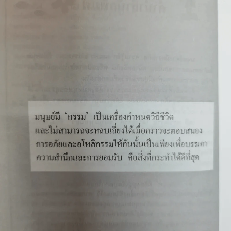 ชมพู่ม่าเหมี่ยว - โสภี พรรณราย รูปที่ 8