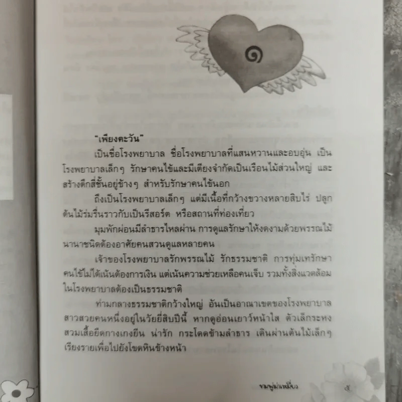 ชมพู่ม่าเหมี่ยว - โสภี พรรณราย รูปที่ 9