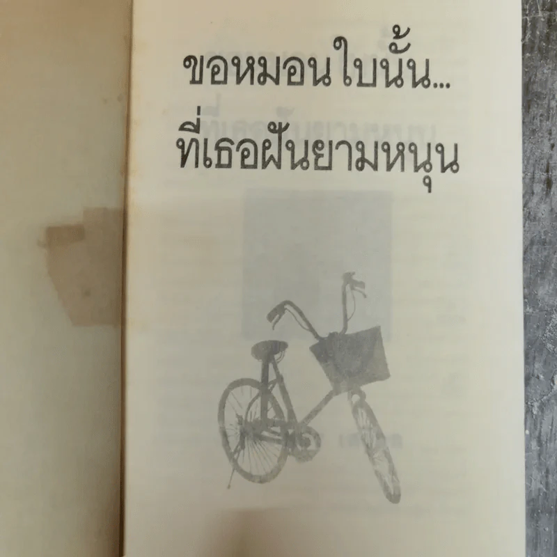 ขอหมอนใบนั้นที่เธอฝันยามหนุน - ประภัสสร เสวิกุล รูปที่ 4