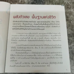 เปลี่ยนสี เปลี่ยนชีวิต - อ.เอ๋ รดา เพชรวิจิตรเมธี รูปที่ 11