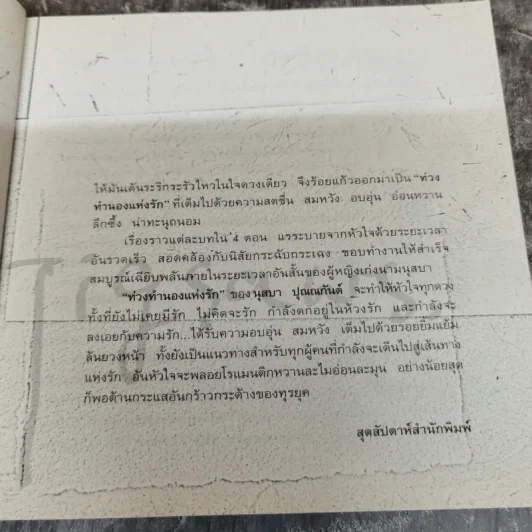 ท่วงทำนองแห่งรัก - นุสบา ปุณณกันต์ รูปที่ 8