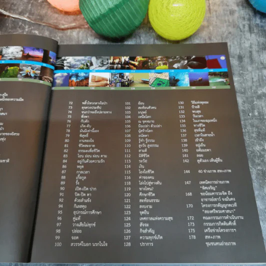 พิศเจริญ หนังสือภาพและอมตธรรมแห่งสองศรีพระศาสนา รูปที่ 12
