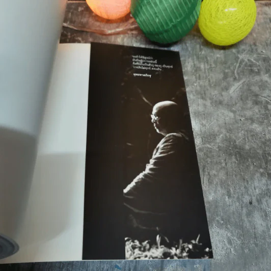 พิศเจริญ หนังสือภาพและอมตธรรมแห่งสองศรีพระศาสนา รูปที่ 15