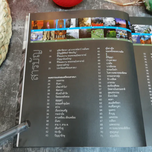 พิศเจริญ หนังสือภาพและอมตธรรมแห่งสองศรีพระศาสนา รูปที่ 11