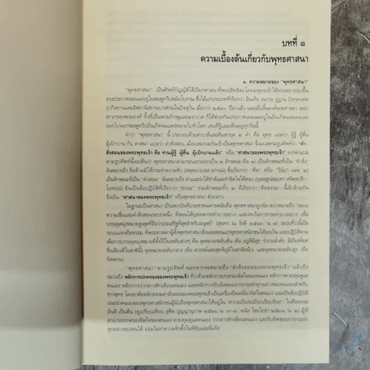 พุทธศาสน์แนวปฏิบัติเพื่อชีวิต - อภิญวัฒน์ โพธิ์สาน รูปที่ 11