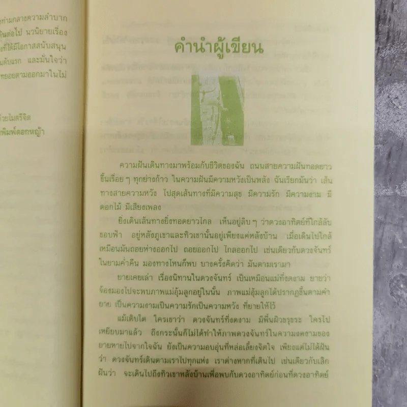 ชีวิตนี้ต้องเดินต่อไป - แพร จารุ รูปที่ 8