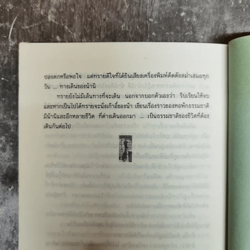 ชีวิตนี้ต้องเดินต่อไป - แพร จารุ รูปที่ 10