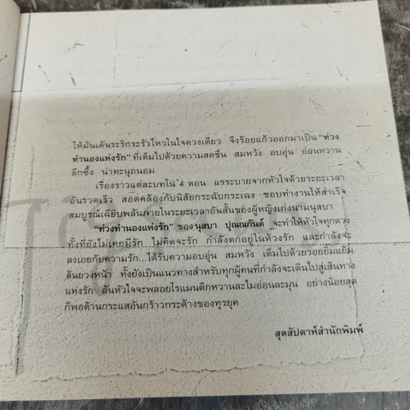 ท่วงทำนองแห่งรัก - นุสบา ปุณณกันต์ รูปที่ 8