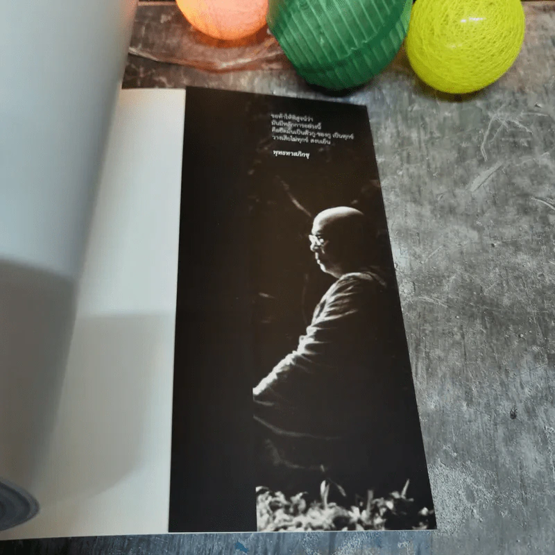พิศเจริญ หนังสือภาพและอมตธรรมแห่งสองศรีพระศาสนา รูปที่ 15