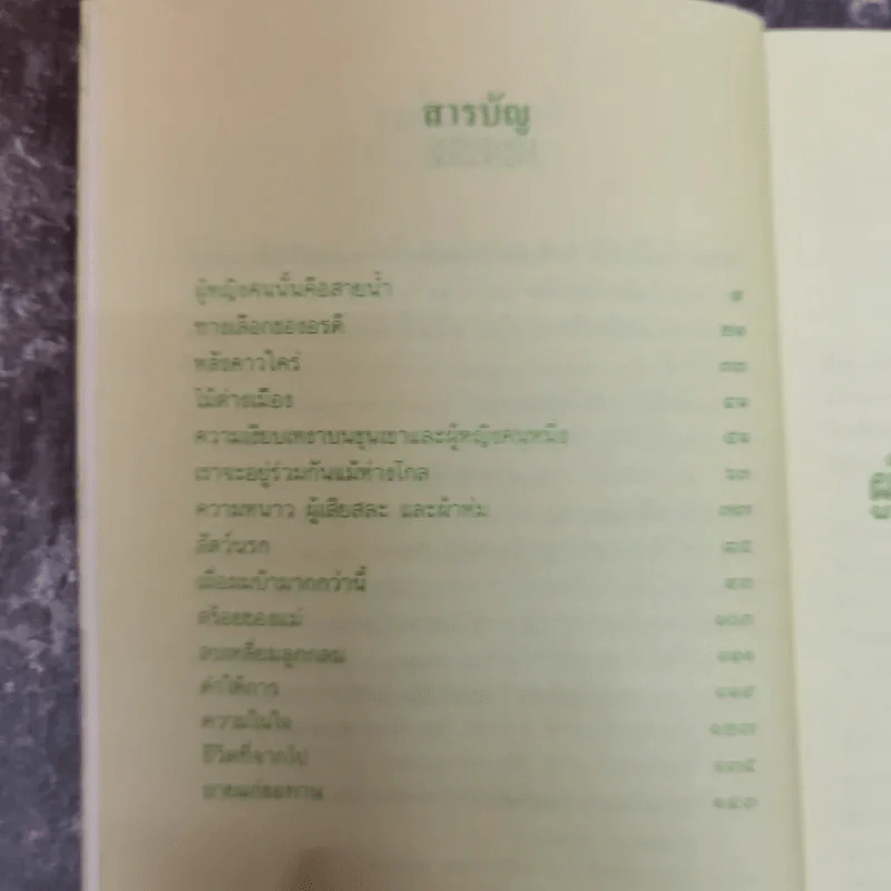 ผู้หญิงคนนั้นคือสายน้ำ - ไพโรจน์ บุญประกอบ รูปที่ 7