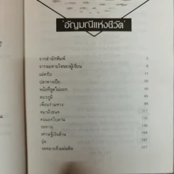 อัญมณีแห่งชีวิต - อัญชัน รูปที่ 6