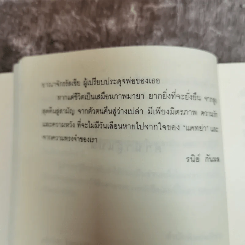 นางฟ้าจตุรัสพระราชวัง Angel on the Square รูปที่ 9