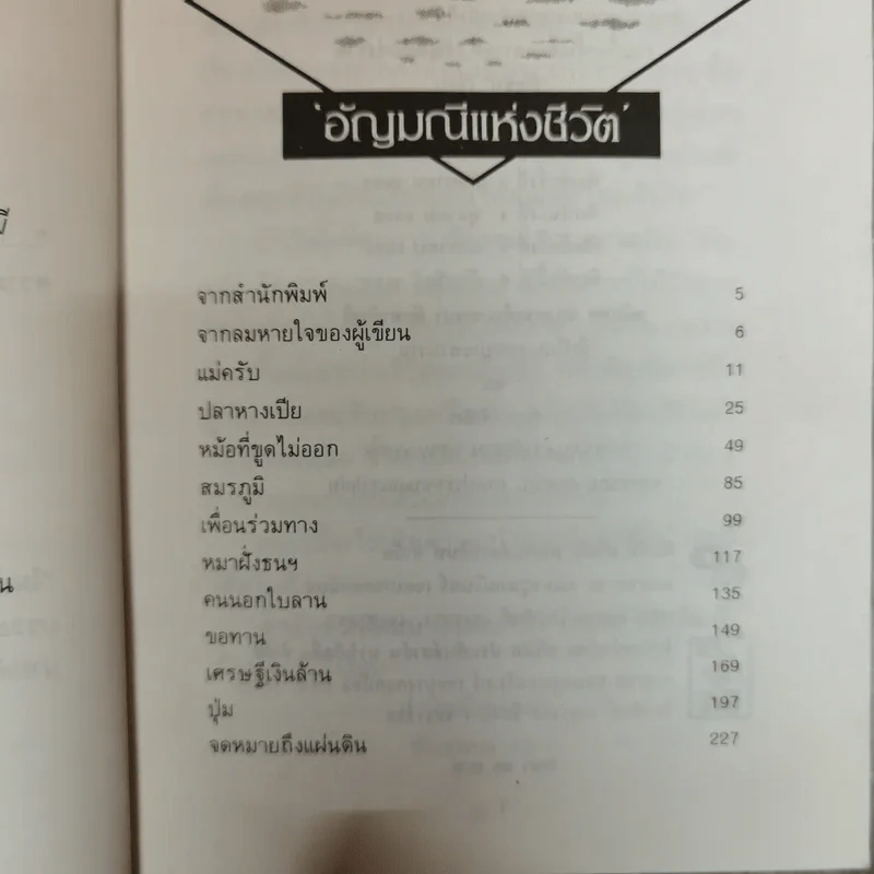 อัญมณีแห่งชีวิต - อัญชัน รูปที่ 6