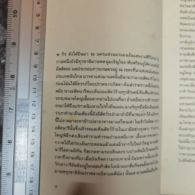 ในดินแดนวิชาธรและเรื่องสั้นอื่นๆ - อติภพ ภัทรเดชไพศาล รูปที่ 10