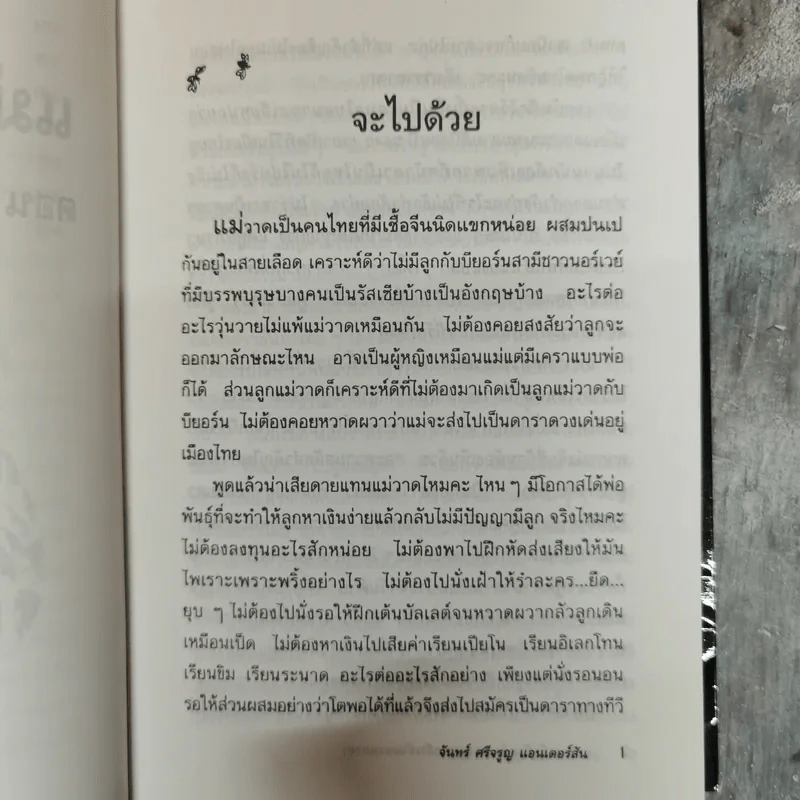 แม่วาดเมียบียอร์น ตอนแหวกยิวเข้าฉนวนกาซ่า - จันทร์ ศรีจรูญ แอนเดอร์สัน รูปที่ 8