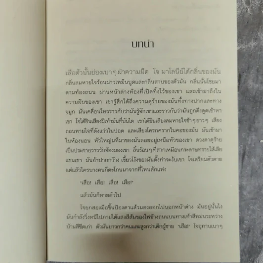 เสียงเรียกจากหัวใจลับ - David Almond รูปที่ 7