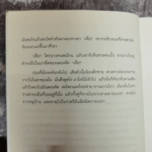 เสียงเรียกจากหัวใจลับ - David Almond รูปที่ 8