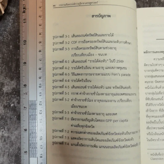 ความเหลื่อมล้ำของการกระจายรายได้ในประเทศไทย - ดิเรก ปัทมสิริวัฒน์ รูปที่ 12