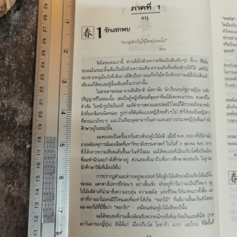 ความรักกับจอมยุทธ์ - สุวินัย ภรณวลัย รูปที่ 11
