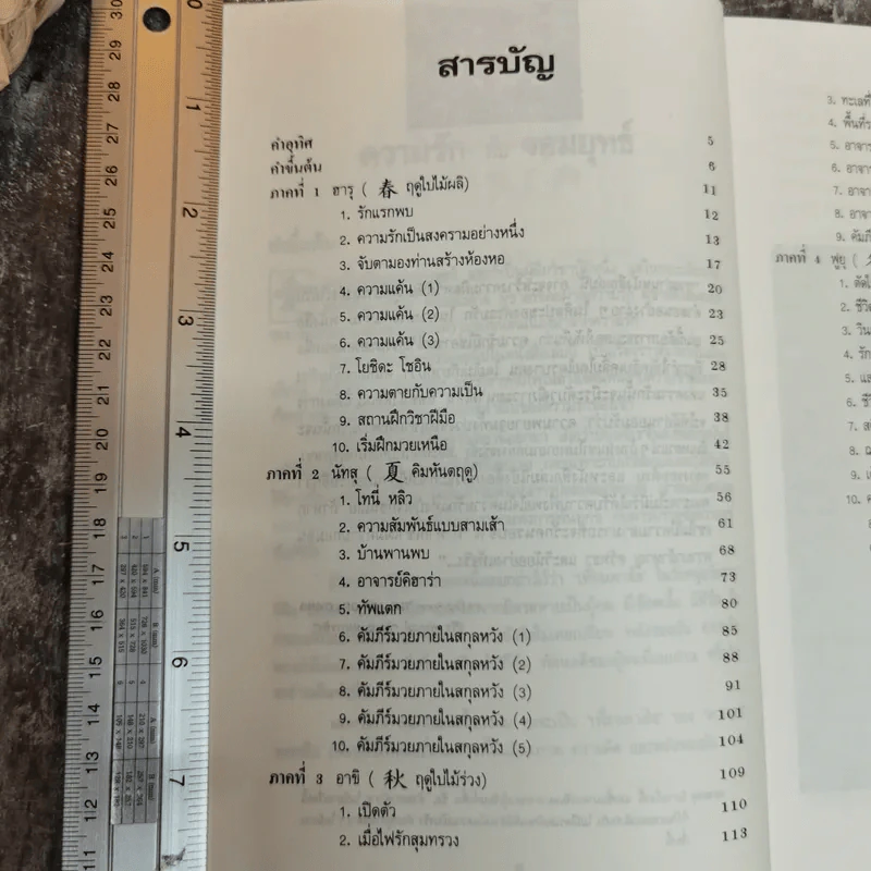 ความรักกับจอมยุทธ์ - สุวินัย ภรณวลัย รูปที่ 9