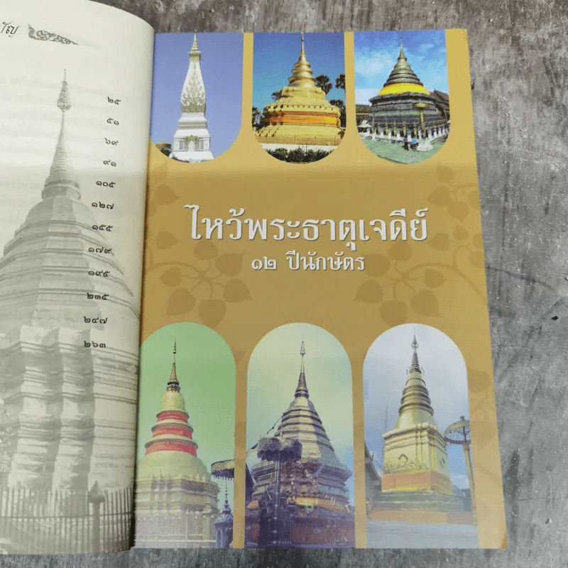 ไหว้พระธาตุเจดีย์ 12 ปีนักษัตร สักการบูชาเพื่อความเป็นสิริมงคล โชคลาภ ร่ำรวย - เจริญ ตันมหาพราน รูปที่ 8