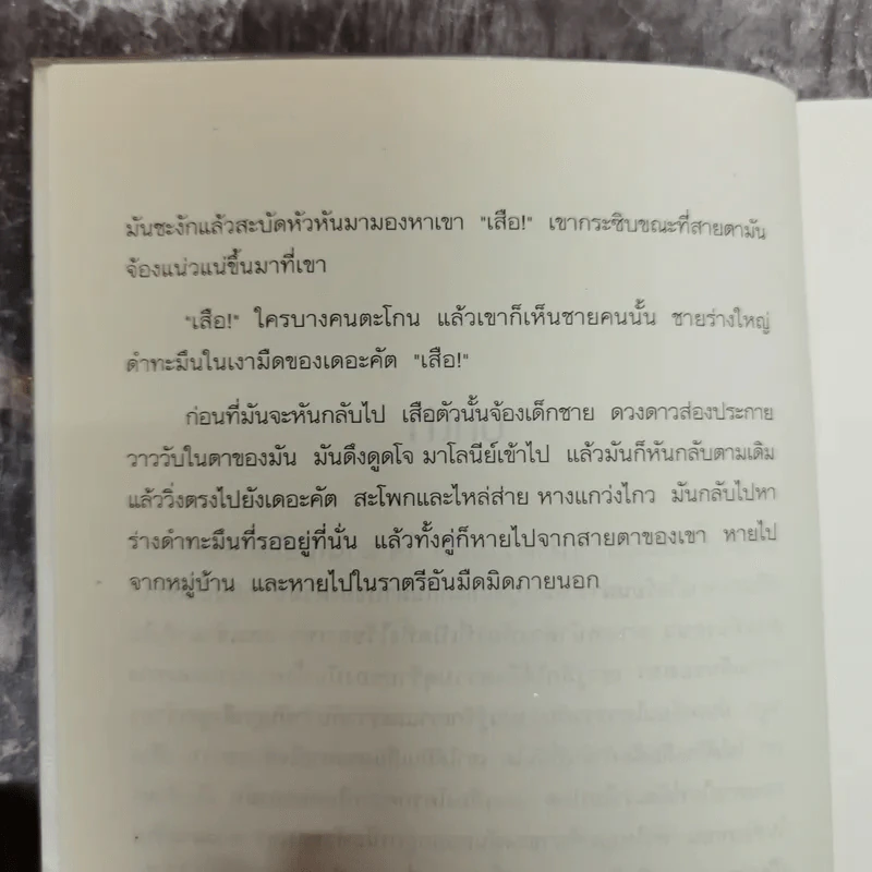 เสียงเรียกจากหัวใจลับ - David Almond รูปที่ 8