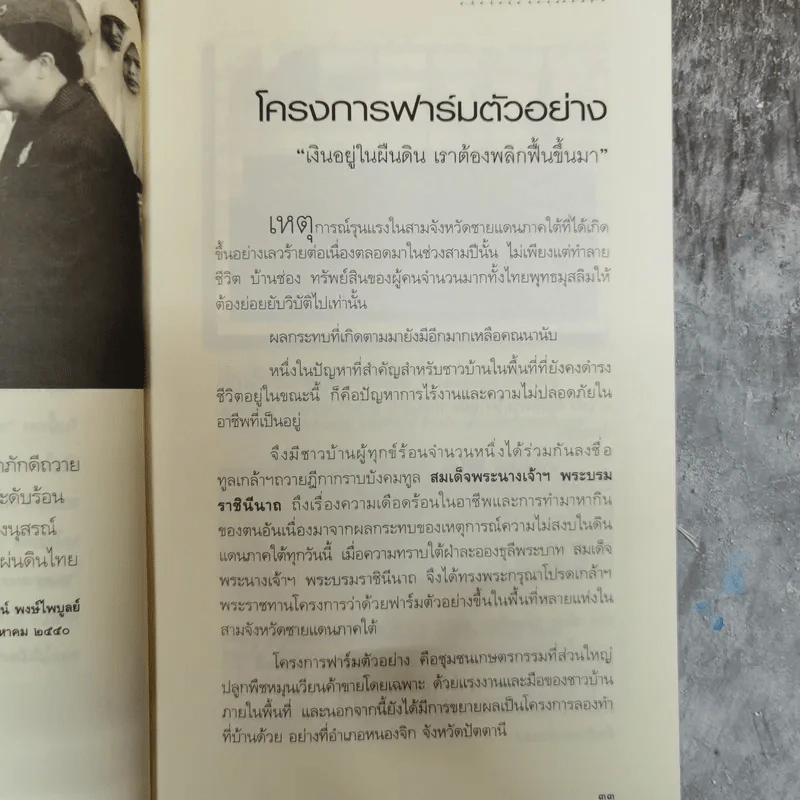 เมื่อฟ้าหม่น เจดีย์หักที่ปักษ์ใต้ - วิมลพรรณ ปีตธวัชชัย รูปที่ 9
