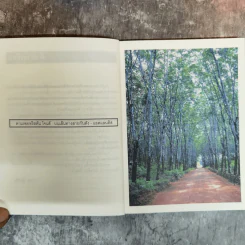 ผ้าปูโต๊ะกับลมหมอ การเดินทางธรรมดาในห้าทวีป - โตมร ศุขปรีชา รูปที่ 10