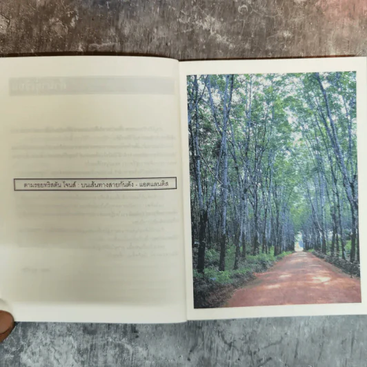ผ้าปูโต๊ะกับลมหมอ การเดินทางธรรมดาในห้าทวีป - โตมร ศุขปรีชา รูปที่ 10