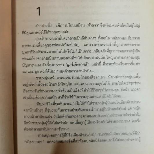 ลูกไม้หลากสี - เทพิตา รูปที่ 6