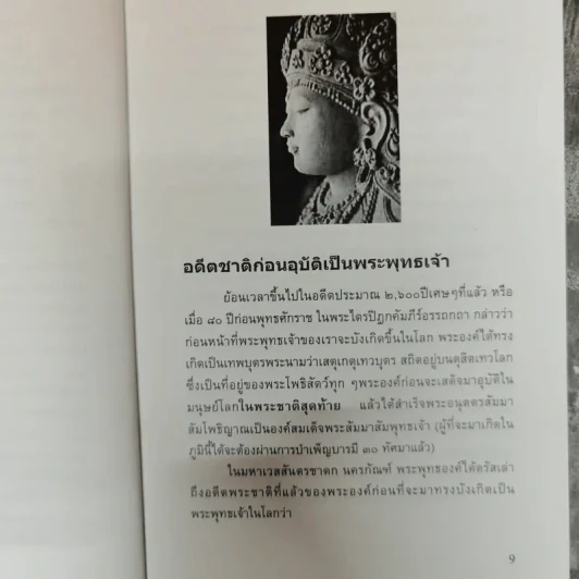 ย้อนรอยพระพุทธเจ้า - ดวงใจ มหาพัฒนากุล รูปที่ 11