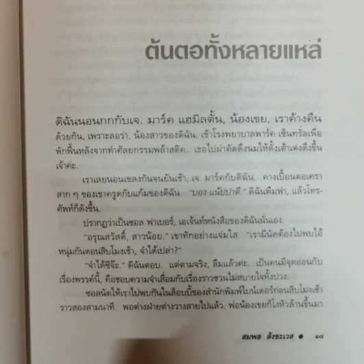 ตามไปปล้น - สมพล สังขะเวส รูปที่ 12