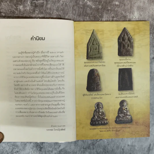 หลวงปู่คำเป็ง ฐิตะปัญโญ บารมีโพธิสัตว์ บำบัดโรค โชคลาภเพิ่มพูน - ทิพยจักร รูปที่ 7