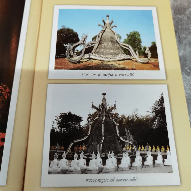 หนึ่งเดียวในประเทศไทย - เจริญ ตันมหาพราน รูปที่ 6