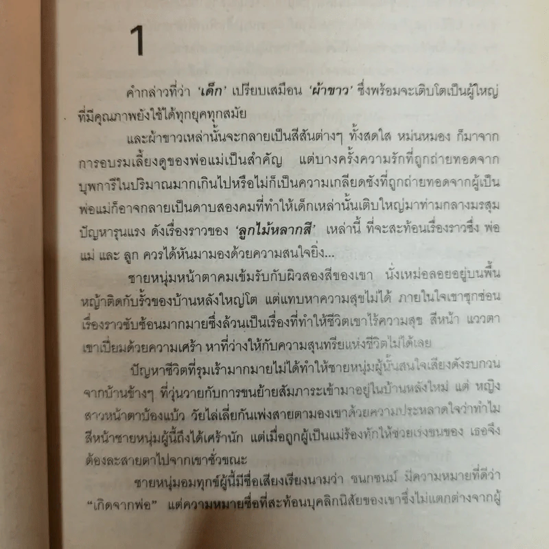 ลูกไม้หลากสี - เทพิตา รูปที่ 6