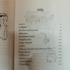 The Magic World ดินแดนมหัศจรรย์แห่งเวทมายา - อี.เนสบิต เขียน, แก้วคำทิพย์ ไชย แปล รูปที่ 6