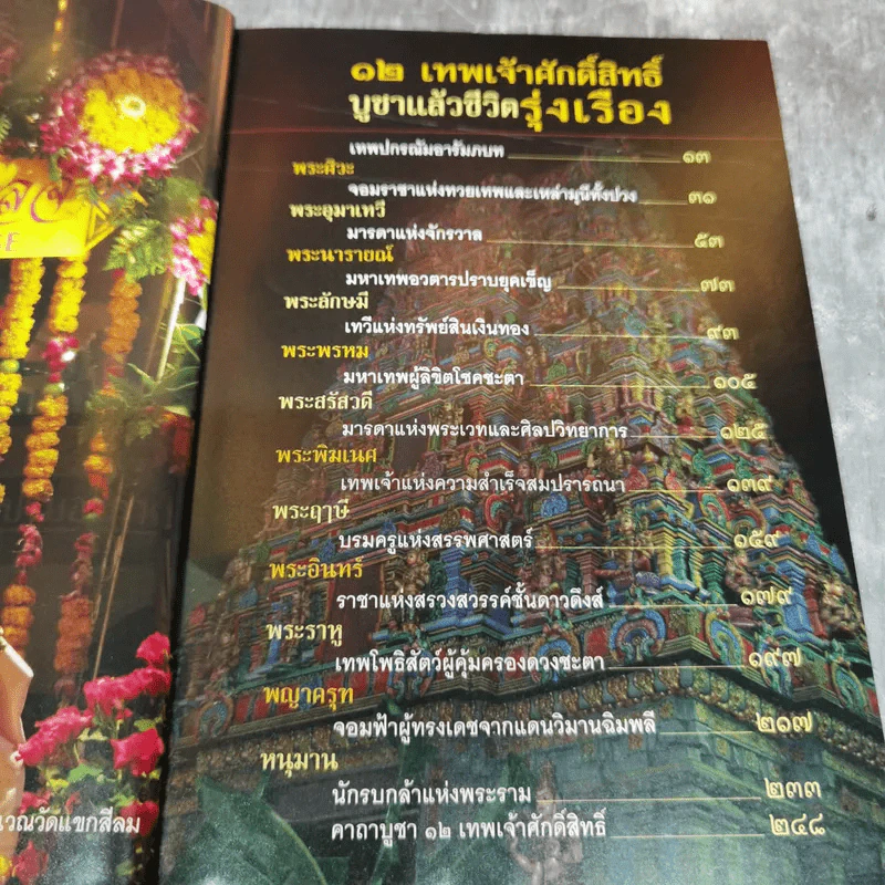 12 เทพเจ้าศักดิ์สิทธิ์ บูชาแล้วชีวิตรุ่งเรือง - ทศพล จังพานิชย์กุล รูปที่ 7