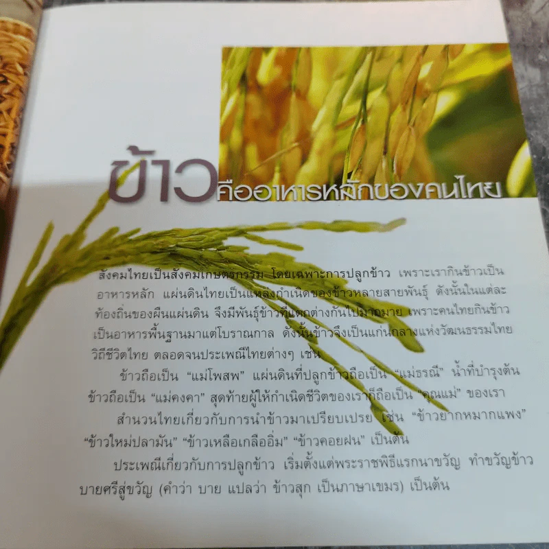 ข้าวกล้อง ข้าวงอก มหัศจรรย์อาหารต้านโรค ชุดอาหารต้านโรค รูปที่ 10