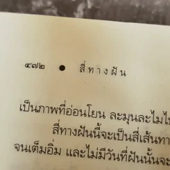สี่ทางฝัน - อาริตา รูปที่ 10