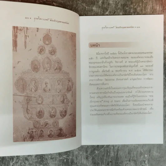 พระเจ้ากรุงสยามแห่งโลก จุฬาลงกรณ์ - พลาดิศัย สิทธิธัญกิจ รูปที่ 9