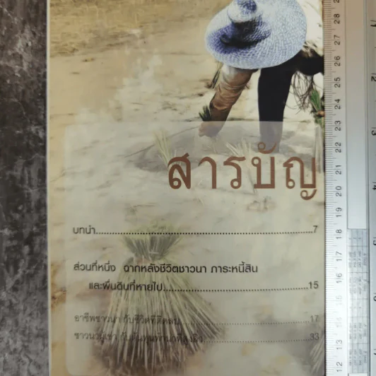 ชาวนา ชีวิตปริ่มน้ำ ฉากหลังชีวิตชาวนา ภาระหนี้สินและผืนดินที่กำลังหายไป รูปที่ 6