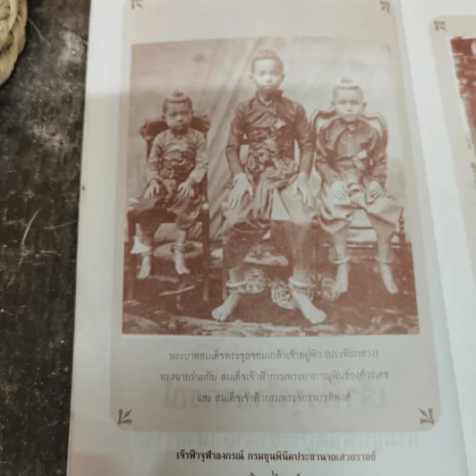 เจ้าฟ้าจุฬาลงกรณ์ กรมขุนพินิตประชานาถ เสวยราชย์ - อนันต์ อมรรตัย รูปที่ 8