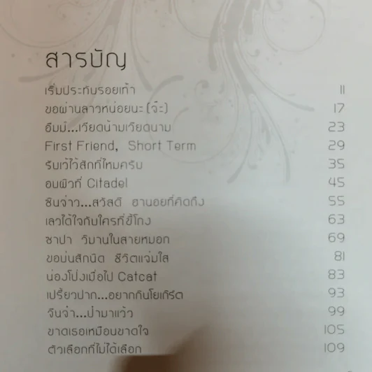 หมื่นเดียวก็เที่ยวได้ 3 ประเทศ ลาว-เวียดนาม-จีน - ป็อป ศักยวัชร์ วงศ์รัตนกมล รูปที่ 8