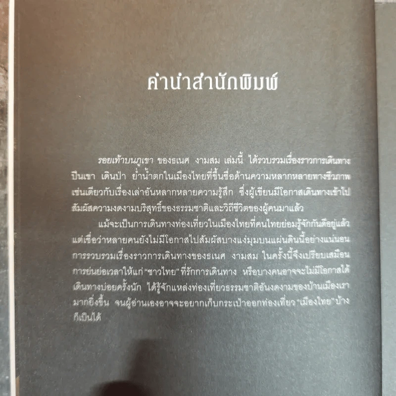 รอยเท้าบนภูเขา - ธเนศ งามสม รูปที่ 10